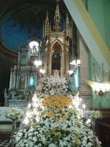 IMG-20151129-WA0006 - copia